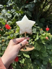 Moonstone Star On Stand | Crystal Carvings, Statement Piece