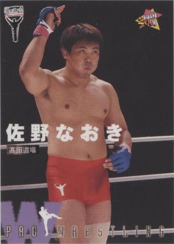 Shinichi Shino BBM Pro Wrestling Card TCG Vintage Japanese #188 | eBay