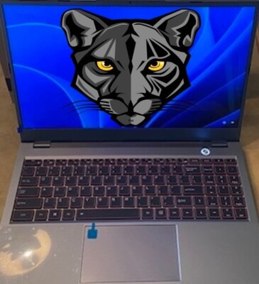 Panther Laptop 15.6  Aluminum Magnesium body, 32GB-1TB-8Core-16TD Brand New