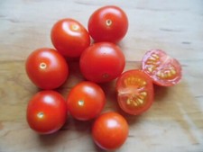 Bonsai Micro Dwarf Tomato Seeds Compact Cherry Tomato Plant for Patio, Balcony