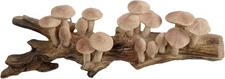 Barydat Resin Mushroom Decor Cottagecore Wall Vintage Brown 