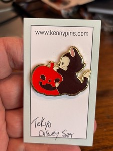 Tokyo Disney Sea Pin | eBay