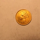 1878 $3 Indian Princess Head Gold United States Coin No Reserve AU-BU