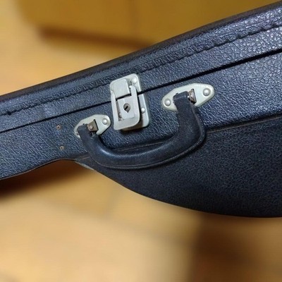 Suzuki Violin M-215 Mandolin in 1974 Bowlback Solid Spruce Top