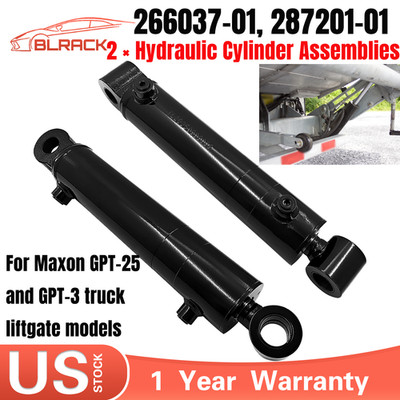 2PCS Cylinder Assembly 266037-01 287201-01 For Maxon GPT-25 and GPT-3 Truck
