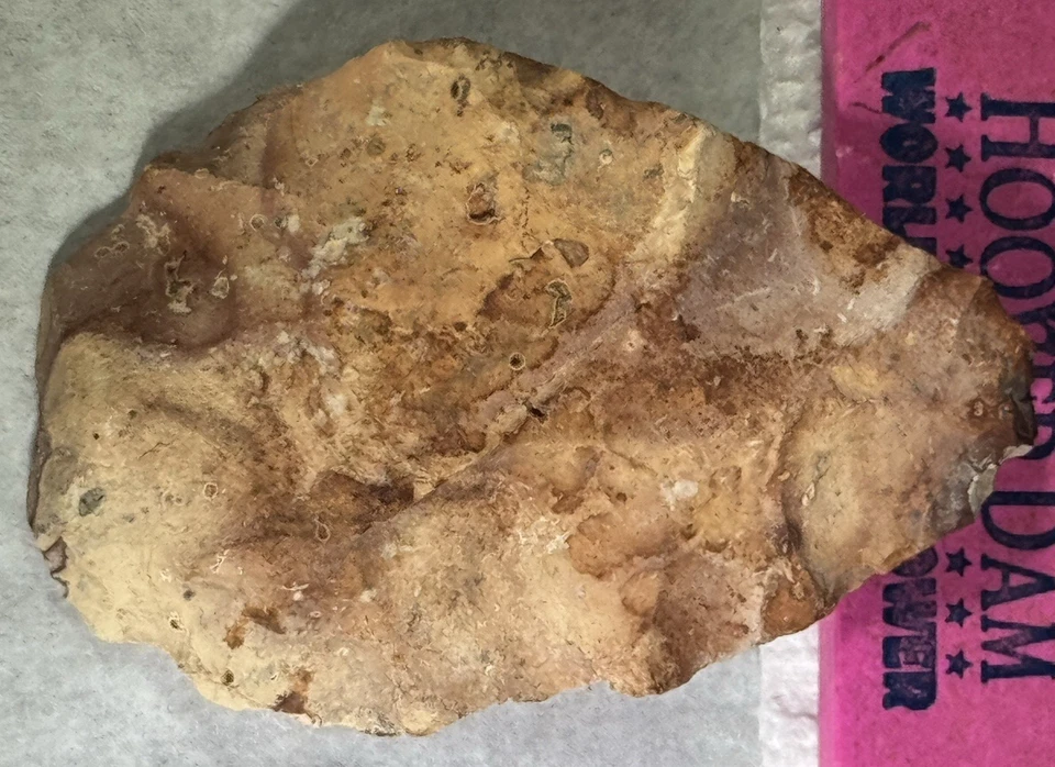 CUCHILLO PUNTA FLECHA ARTEFACTO AUTÉNTICO 2 Y 3/8" COLORIDO CON TALLO FLORIDA GEORGIA *3 Foto 4 de 4