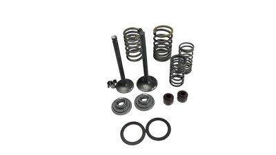 Ventilset 20/23 mm für 70 / 86/110ccm 12V Motor Dax Monkey Pitbike Lifan YX u.a.