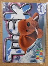 1999 TY BEANIE BABIES SERIES 3 TUSK THE WALRUS 144