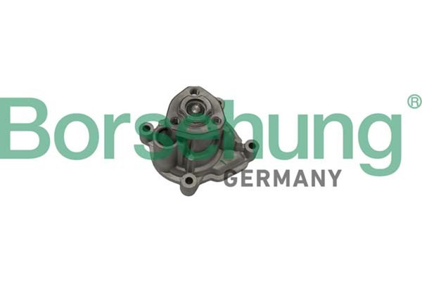 Wasserpumpe MotorküHlung Borsehung B12696 FüR 162 AV3 VW Jetta 163 AV2 4 Polo 5-image