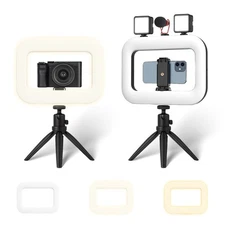 Handheld Selfie Ring Light Kit, 8000mAh Fill Light for Smartphone/Camera/TikTok