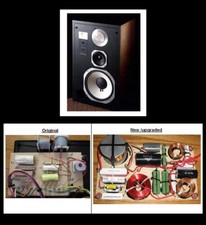 JBL L96 L110 L110A 10-Inch Woofer Refoam Kit — Repair Your Vintage Speakers!