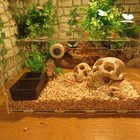 Bild 8 von 11
