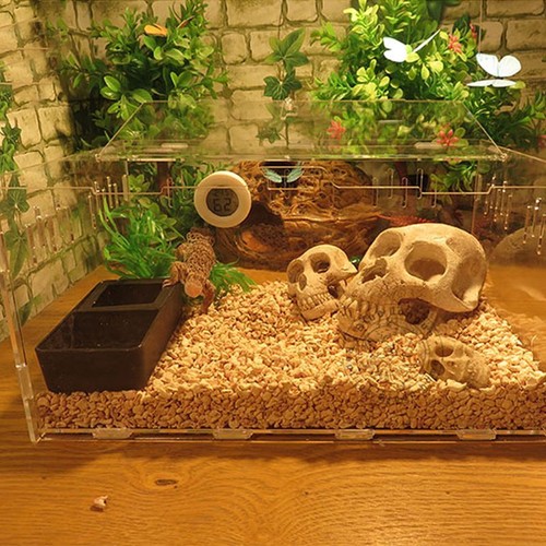 Mealworm Feeder With Water Dish 2 in 1 Worm Feeder & Water For Geckos Lizards UK - Picture 8 of 11