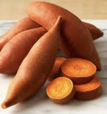 10 Beauregard Sweet Potato Slips / Cuttings/ Organically Grown