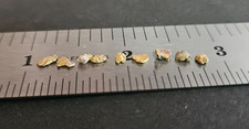 21K Gold Raw Nevada Placer Nuggets 0.080 - 0.089 gram range