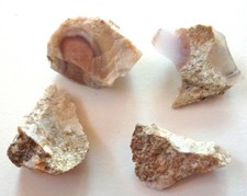 Lot Korallen Otholith  Natur 💖 (W663) Schau Mal ! Kiste dazu ?