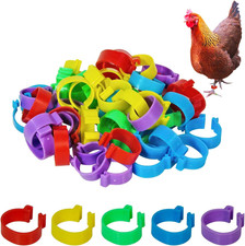 Chicken Leg Bands, 50 Pack, 20mm, 5 Colors, Poultry ID Tags for Ducks, Bantam...