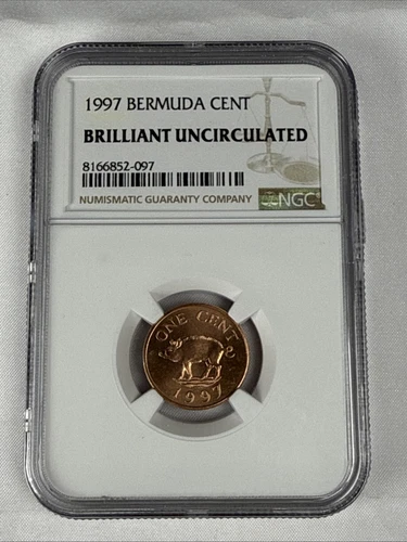 1997 BERMUDA PIG CENT - NGC BRLLIANT UNCIRCULATED