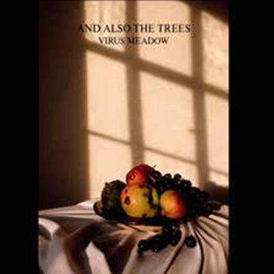 And Also The Trees: Virus Meadow (reissue) - 375 Media  - (CD / V)