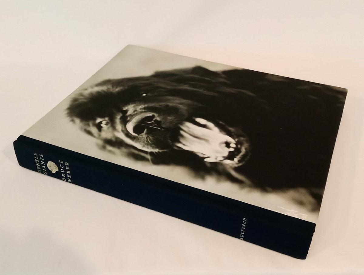 Gentle Giants by Weber, Bruce 1995 1st Edition Signed By