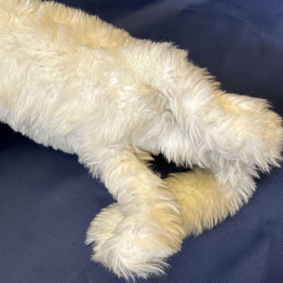 Showa Retro Persian Cat White Cat Pink Ribbon Stuffed Doll QZ8SDD eBay