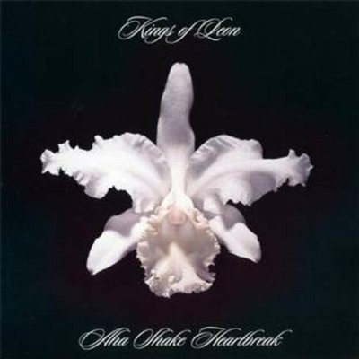 Kings Of Leon Aha Shake Heartbreak CD Neu