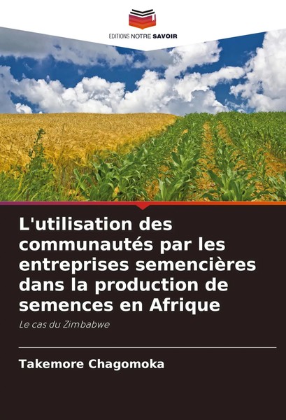 Takemore Chagomoka | L'utilisation Des CommunautéS Par Les Entreprises...-image