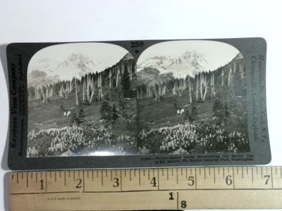 Keystone Stereoview 259 Flower-Decked Parks Surrounding Snowy Cap of Mt Rainier