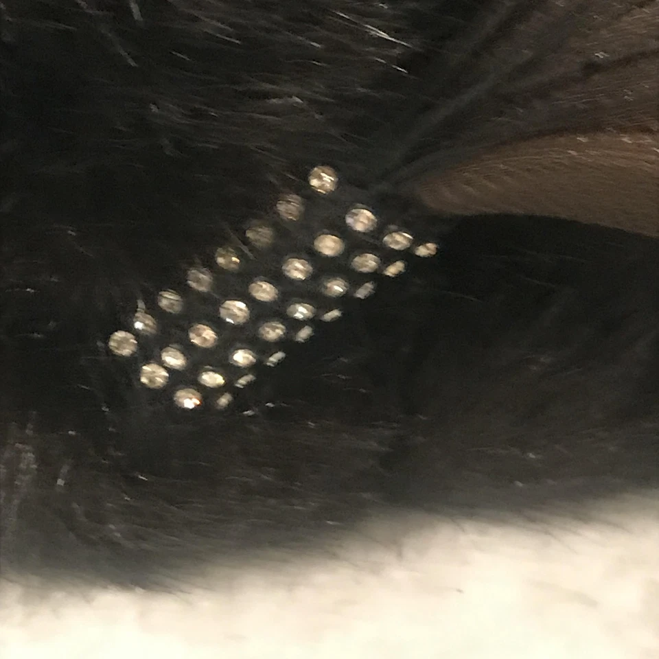 Sombrero de Colección Donna Vinci Couture para Mujer Caja de Pastilleras de Piel Pluma Lentejuelas Art Deco Foto 4 de 4