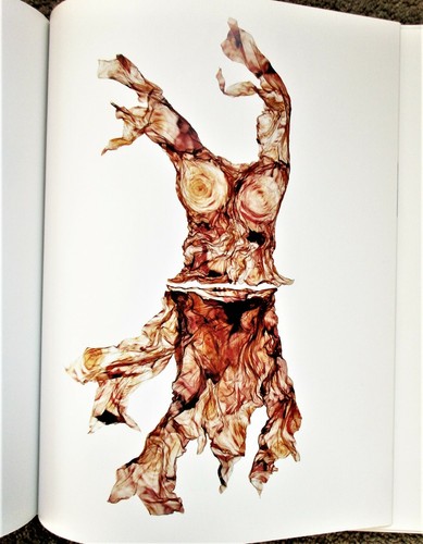 Katherine Adams COUTURIER DREAMS **SIGNED** Textile Art FASHION PHOTOGRAPHY - Picture 9 of 11