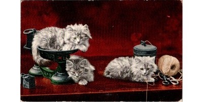1911 Hand-tinted Photo Postcard Three Gray Tabby Kittens Scale Yarn & Scissors