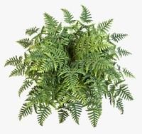 Artplants Athyrium Farn Rene, 45 BläTter, GrüN, Auf Steckstab, 75Cm, Ø 90Cm