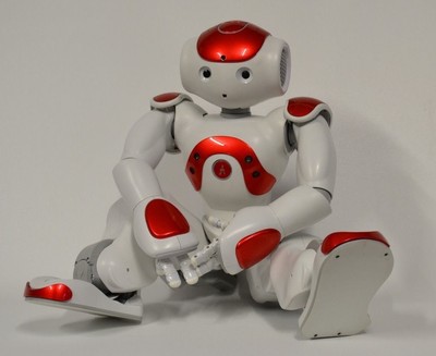 nao evolution v5