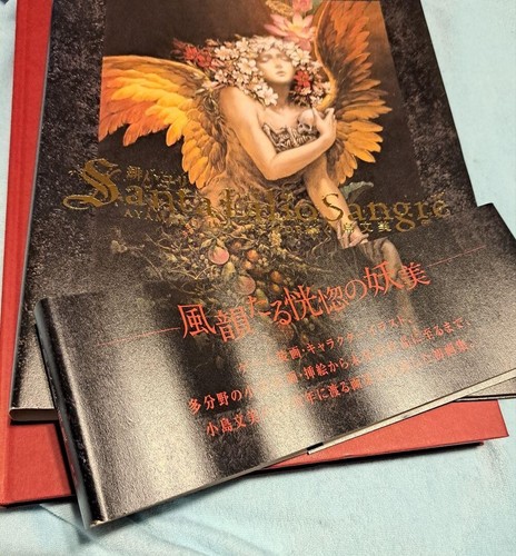 Kojima Ayami Akai Yuri Kunstbuch Santa Lilio Sangre Erstausgabe 2010 - Bild 4 von 12