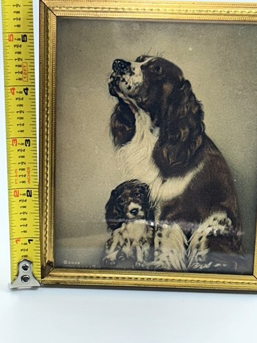 Vintage gerahmter GOES Litho Hundedruck Spaniel und Welpe - Bild 9 von 11