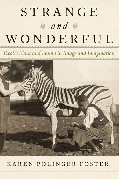 Karen Polinger Foster | Strange And Wonderful | Buch | Englisch (2020)-image