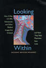 Looking within: How X-ray, CT, MRI, Ultrasound and Other Medical Images are Created and How They Help Physicians Save Lives by Anthony B. Wolbarst (Paperback, 1999)