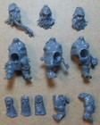 Fyreslayers - Auric Hearthguard Berzerkers - Bodies Heads Tabards - Bits Dwarfs