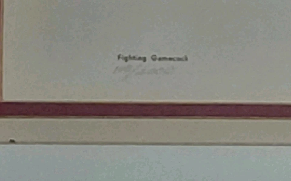 South Carolina Gamecock art 1974 signed limited edition 100/2000 - image 4 of 4