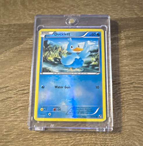 The Pokémon Company Ducklett BW17 Black & White Holo Promo Basic 60 HP (EN)