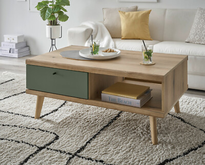 Couchtisch Wohnzimmer Tisch Sofatisch Salbei und Eiche skandinavisch 107x67 Juna