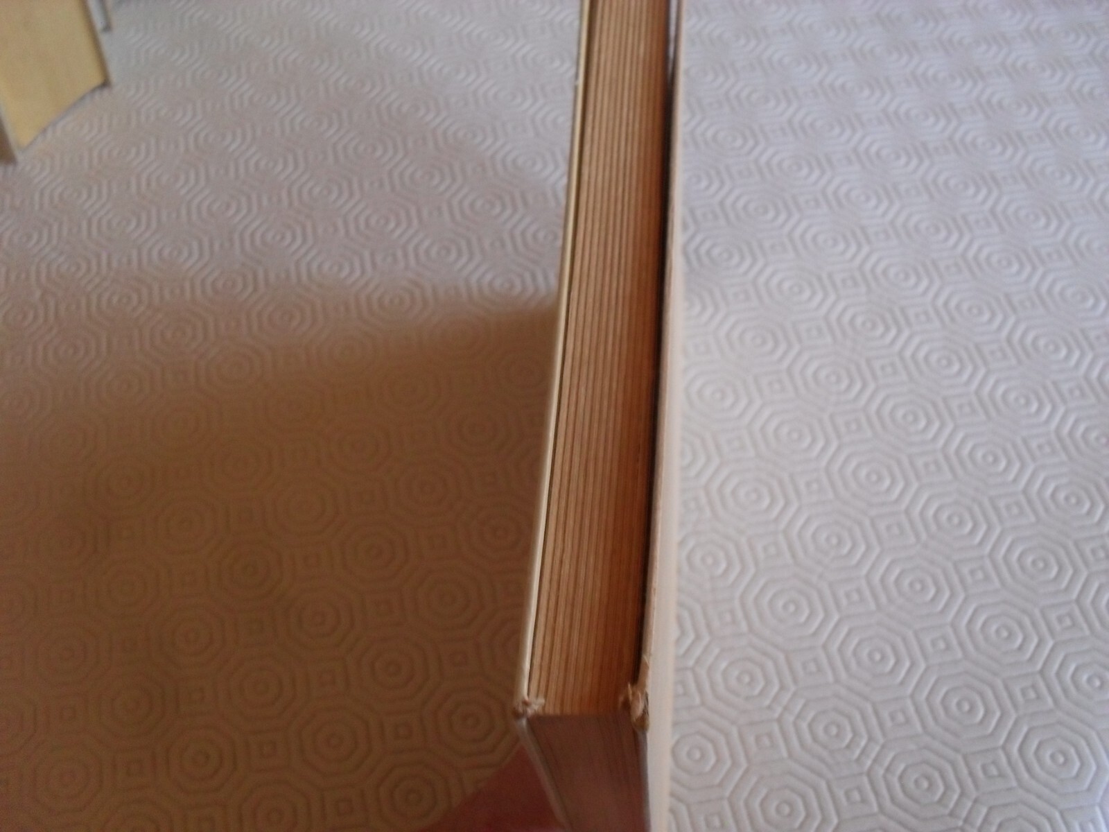 Bild 5 von 5