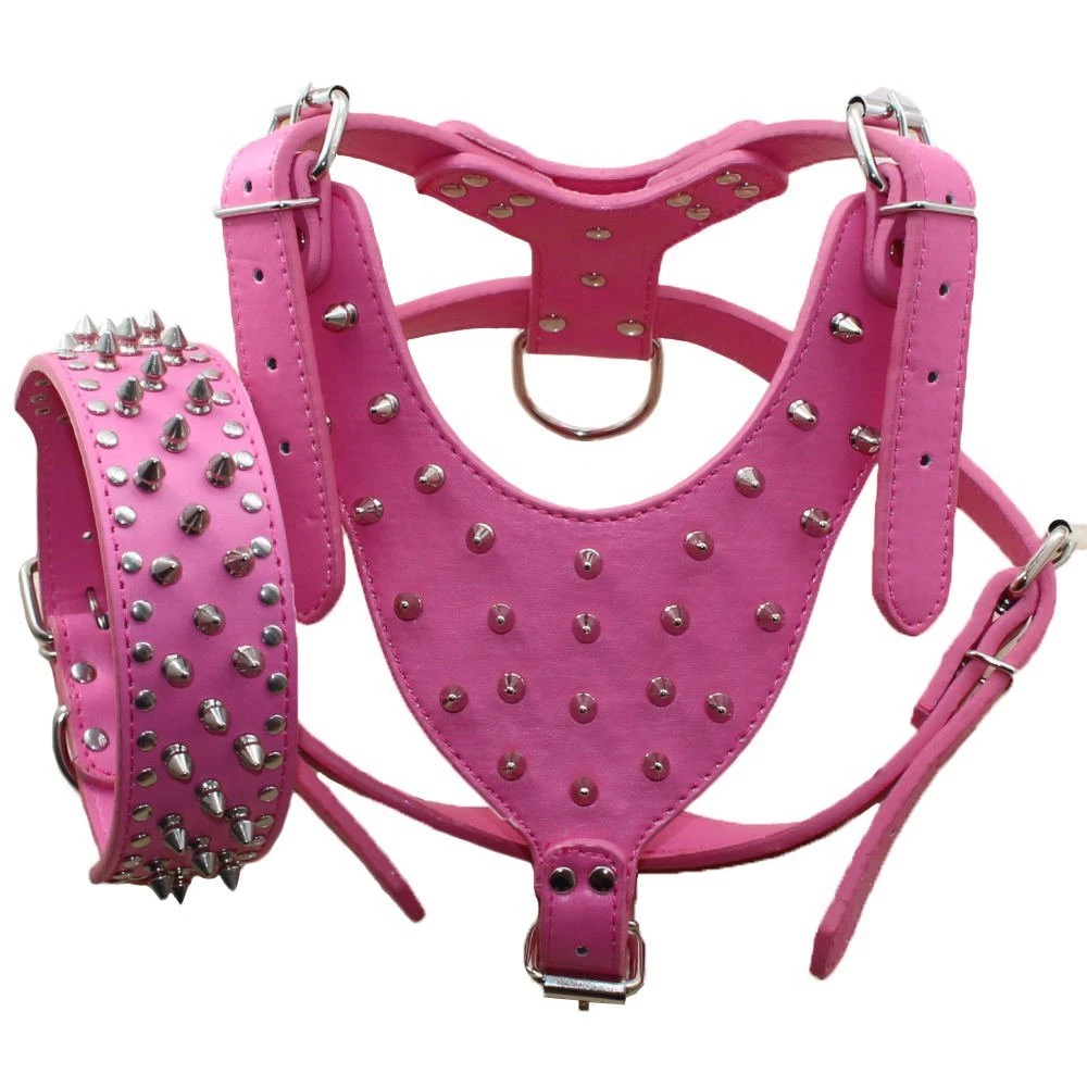 Pink 2025 studded collar