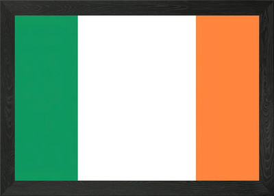 Flagge Irlands gerahmtes Wandbild Poster Leinwanddruck Bild