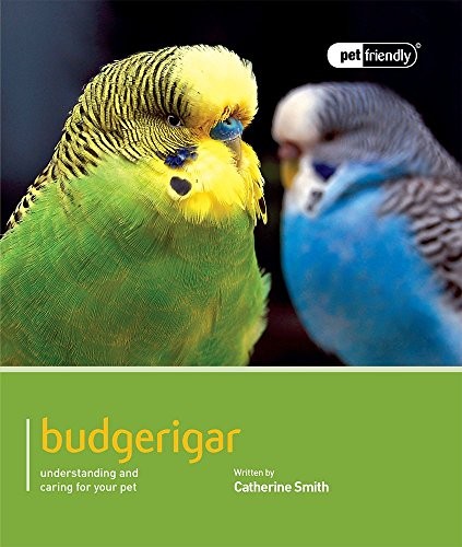 Budgerigar: Pet Friendly - Budgerigar-Catherine Smith