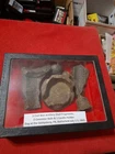 EXCAVATED CIVIL WAR RELICS RECOVERED FROM Gettysburg PA Battlefield Nice Lot