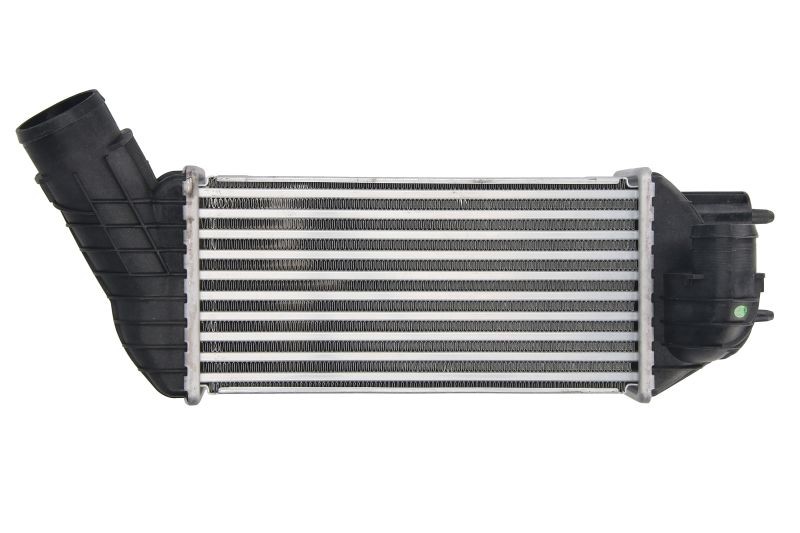 ✅Fits THERMOTEC DAC019TT Charge Air Cooler DAC019TT The Thermotec pr ⭐UK Seller⭐