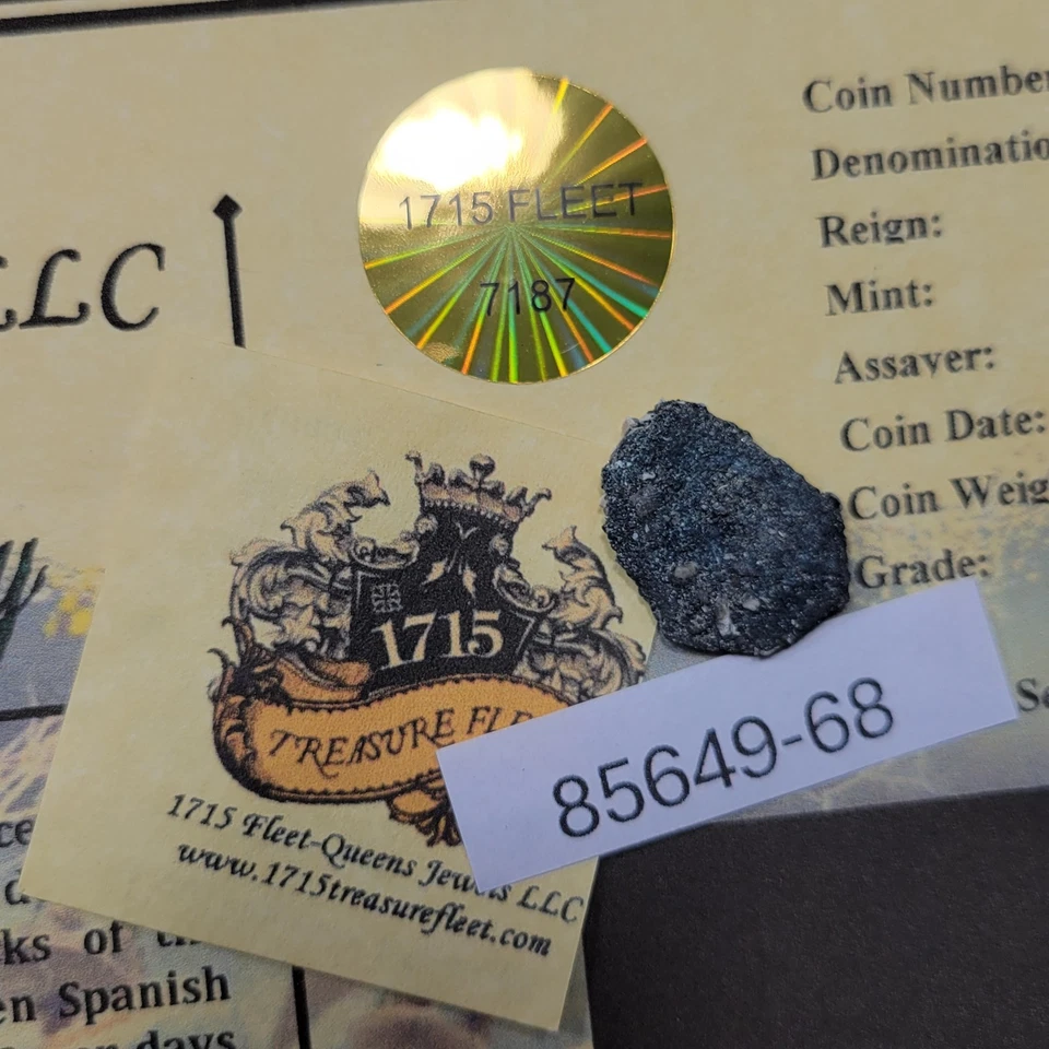 1715 FLEET Cob 1 Real Biscuit Coral Encrustation with COA Recent Salvage *OVK46 - Image 2 of 4