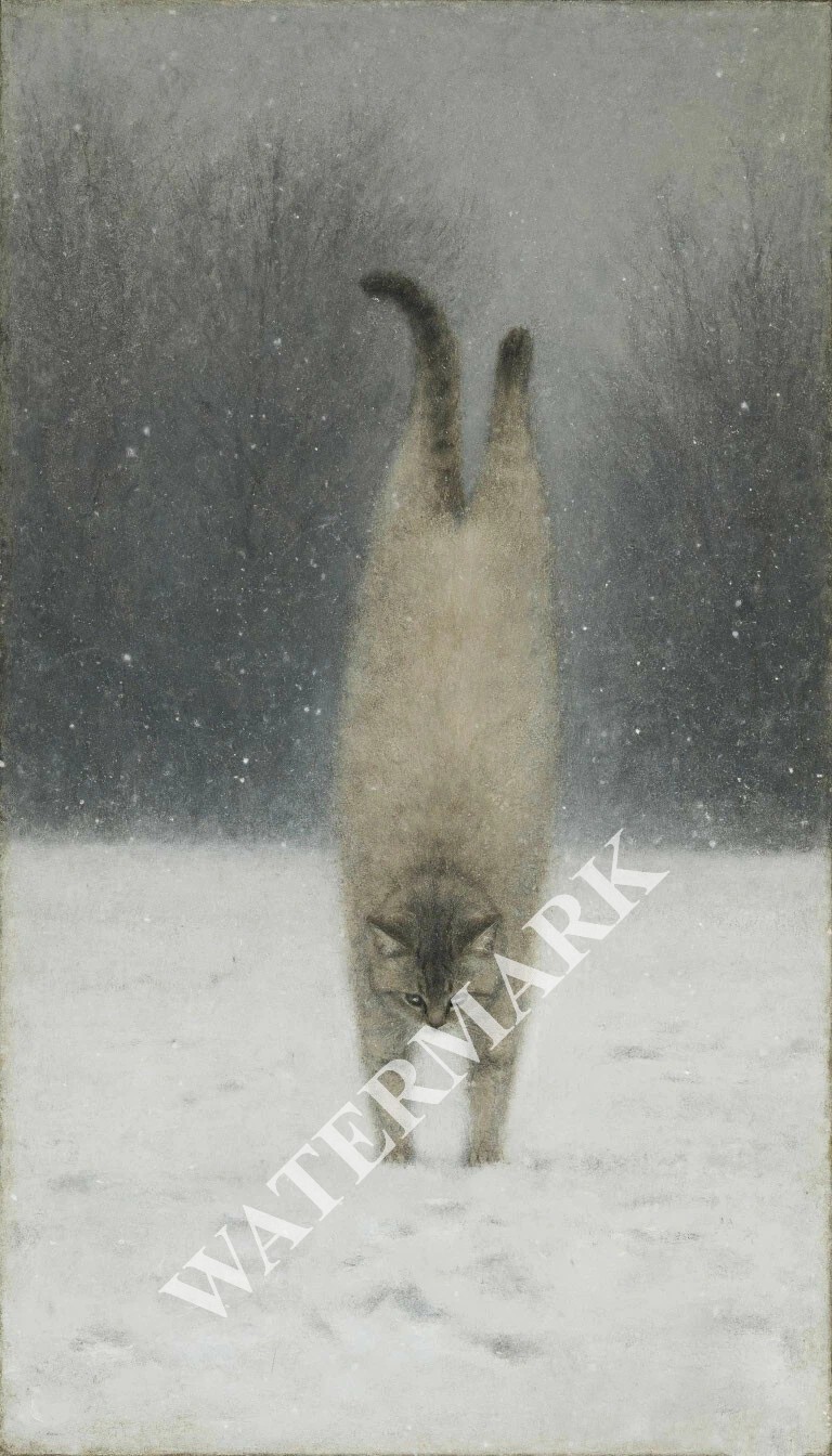 Digital Image Snow Cat Acrobat Picture Wallpaper Background Desktop Wall Art A36