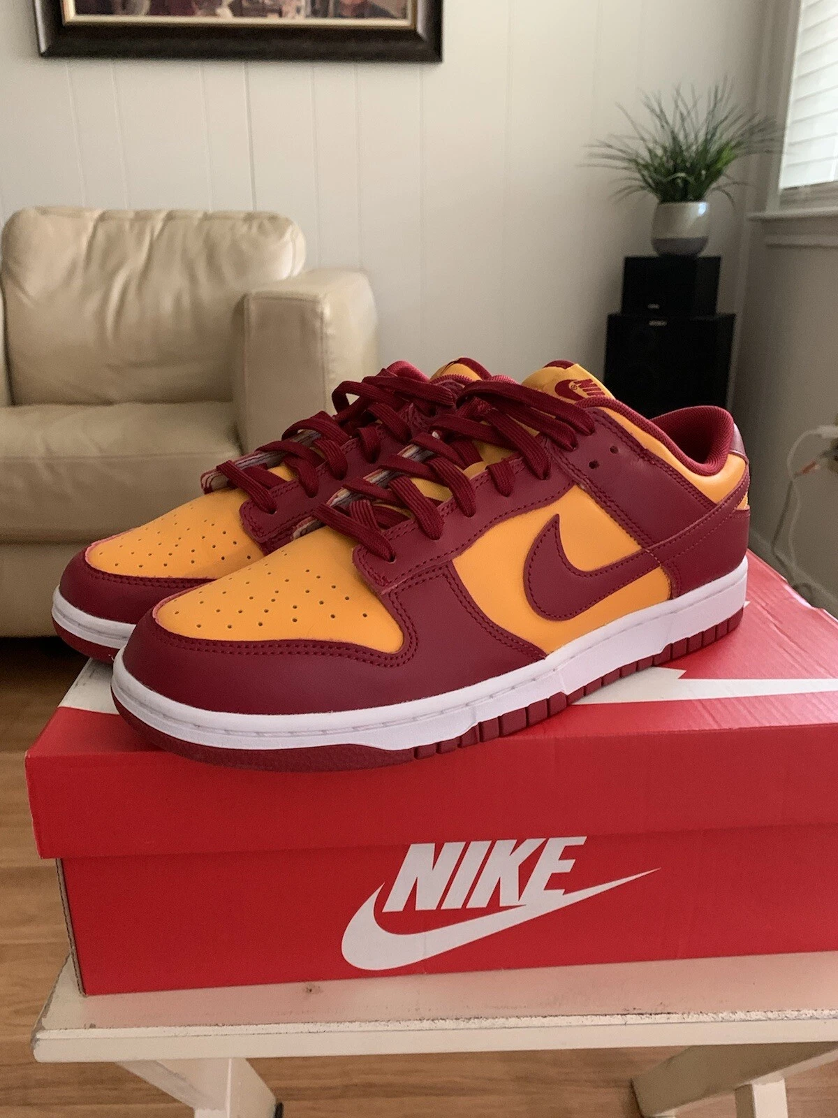nike dunk USC sz10 SB supreme jordanien cactus plant 